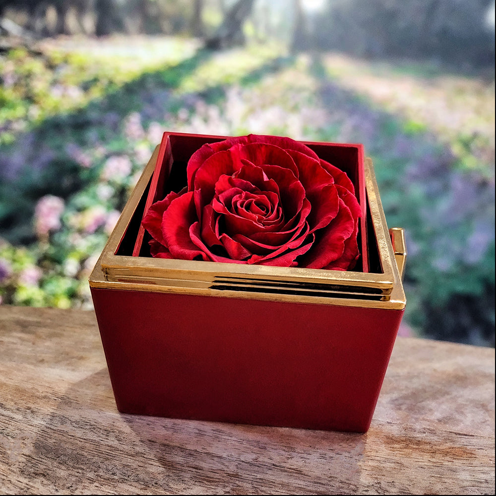 To My Daughter From Mom - Love Knot Necklace With Rotating Rose Box